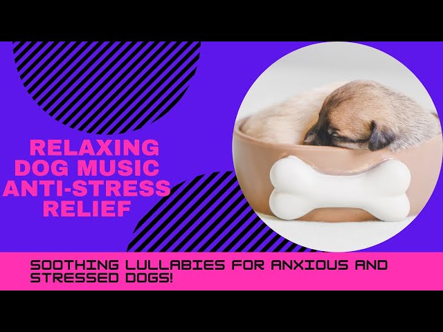 4 Hours Relaxing Dog Music  Soothing Music Anti-Stress Relief For Dogs