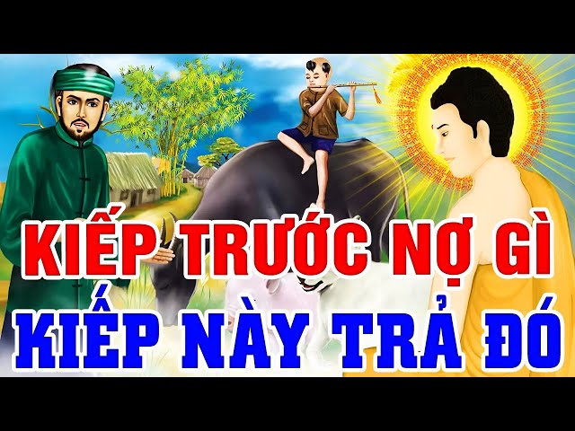 Luật Nhân Quả Không Trừ 1 Ai, KIẾP TRƯỚC NỢ GÌ KIẾP NÀY TRẢ ĐÓ - Gieo Nhân Gặt Quả... Ác Giả Ác Báo