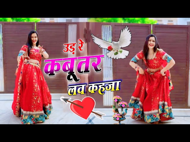 बहुत वायरल है ये गाना | Udar Kabootar Love Kheja | उड़ र कबूतर लव खेजा | Dj Remix | Veersing Banota