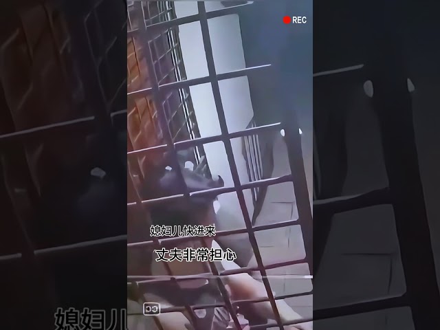 #监控下一幕 #无不良引导 国外的米也不好赚啊。