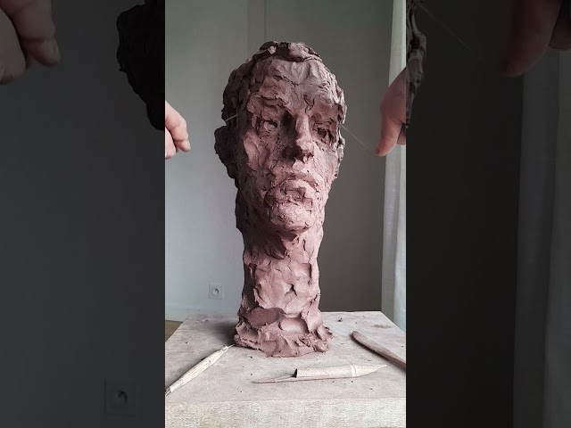 Art process #shorts #sculpting #argile #clayart #clayportrait #subscribe #clay #modelage