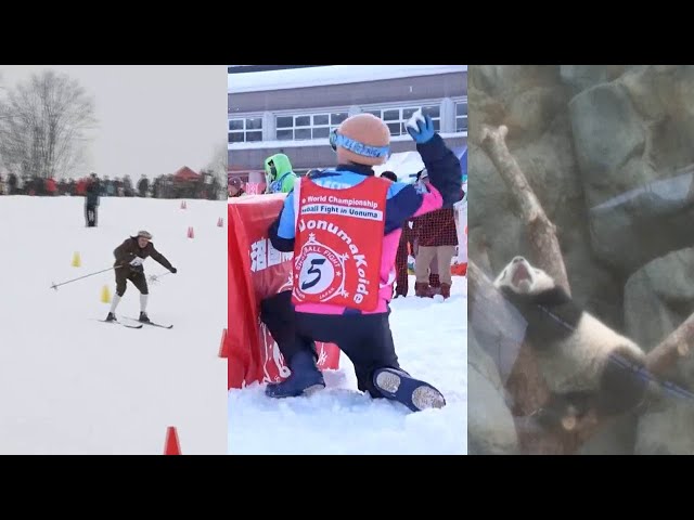 [지구촌톡톡] 100년 전 스키복은 어떤 모습? 체코 '복고 스키' 축제 / 연합뉴스TV (YonhapnewsTV)