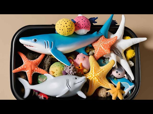 Hidden Creatures of Water: Puffer, Clown, Tang, Eel, Goldfish, Sea Horse, #dolphin #shark #starfish