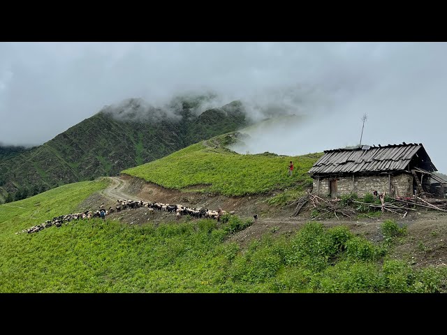 Natural Beauty of Nepali Mountain Village || Very Relaxing and Heartwarming Village Life || IamSuman