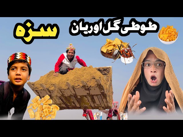 Tuti Gull Ao Reyan Saza || New Funny Video 2024 By Tuti Gull Official