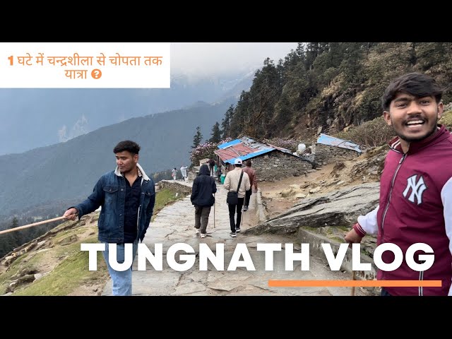 तुंगनाथ महादेव से चोपता  तक की पैदल यात्रा 2023 || #tungnath #uttarakhand #chopta