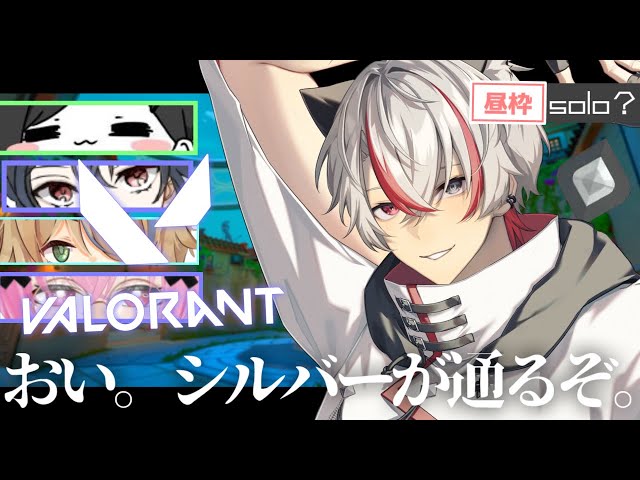 【VALORANT】昼活ソロ→フルパヴァロコンペ!みんな知らないかもしれないんだけど俺シルバーⅠね！！！！！withノシイカs晴海みかs灰宮なゆたs黒瀬夜光s【七星アルト/男性Vtuber】