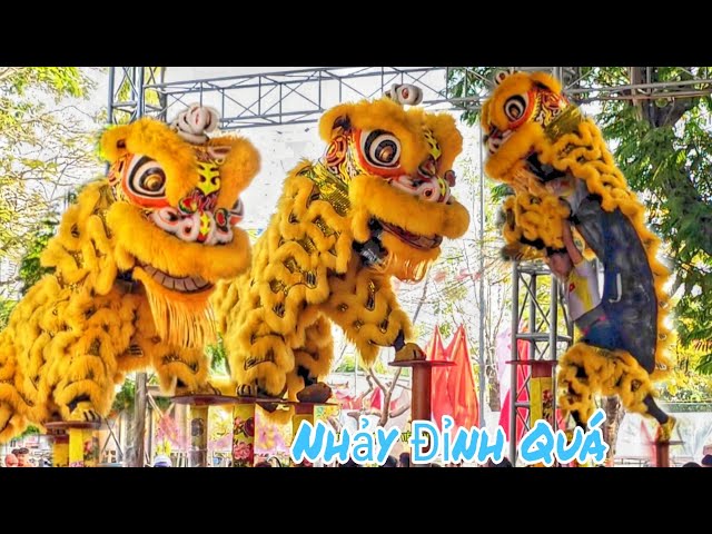 Múa Lân Nhảy Mai Hoa Thung Cực Hay 2025 LSR Kim Long Đường / Múa Lân VIệt Nam Lion Dance Barongsai