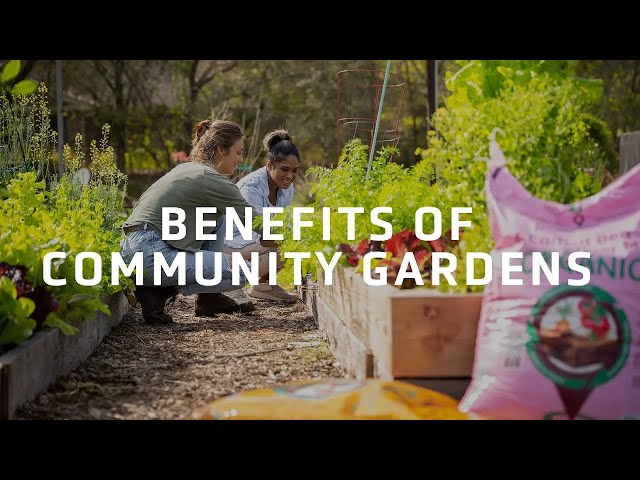 Exploring the Benefits of Community Gardening