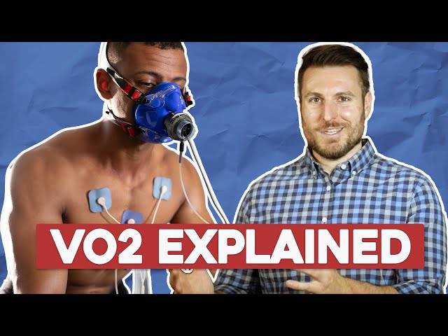 VO2 and Oxygen Consumption Explained for Beginners | Corporis