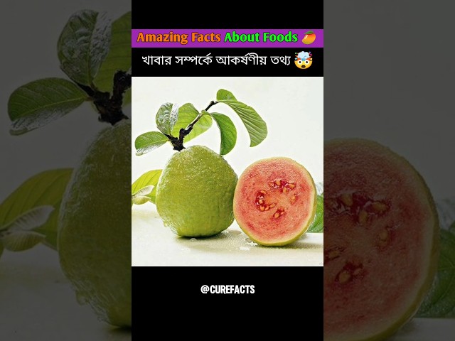 Top 10 mind blowing facts about foods in bangla 🥑 Amazing Facts | Random facts #shorts #facts