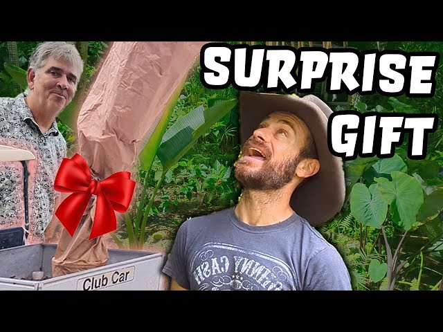 SURPRISE For Kenan and Constructing a Swamp Boardwalk