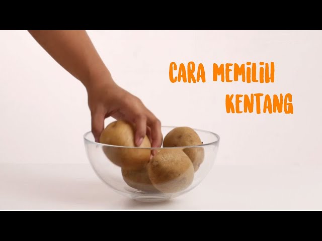 Cara Memilih Kentang Yang Bagus Berkualitas