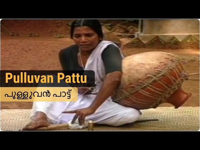 Pulluvan Pattu | പുള്ളുവൻ പാട്ട് | Art forms Kerala