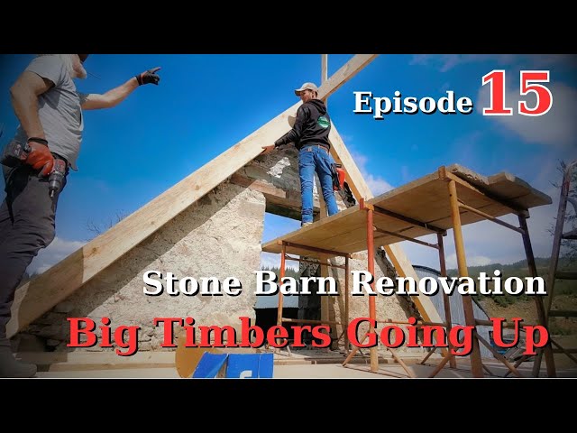 LADYFIELD FARM - Stone Barn Renovation Episode 15 : First Ridge and Rafters Up