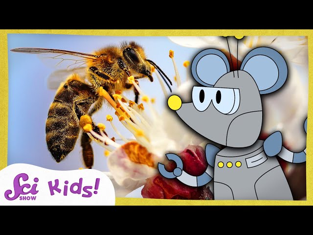 How Do Bees Make Honey? | The Science of Food! | SciShow Kids