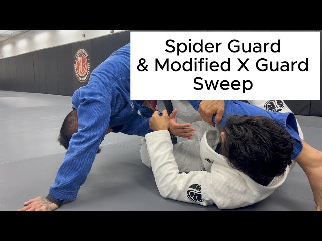 Next Level Spider Guard to Modified X Guard | Cobrinha BJJ