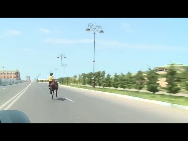 Young girl's stunt while horse riding l Viral Bytes