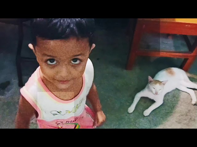 cat Jacky love nice Baby Abdullah nice Cat funny