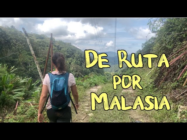 DiarioMal 10 - Malasia, de Jungla en Jungla