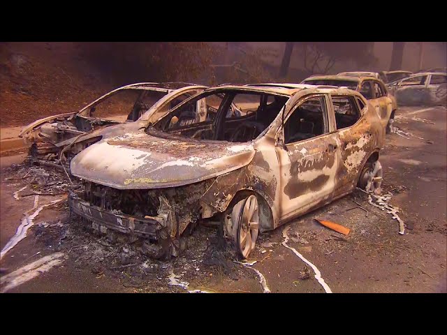 Motorists Leave Cars on Sunset Boulevard During LA Wildfire