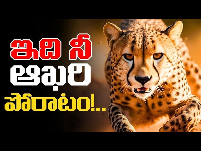 ఎట్టి పరిస్థితుల్లోనూ వెనకడుగు వెయ్యకు!..| Million Dollar Words #210 | Voice Of Telugu