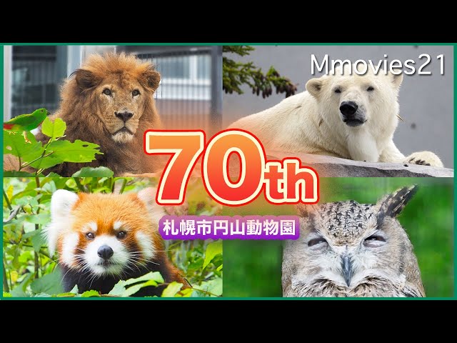 Let's enjoy Maruyama Zoo ,70th anniversary of the opening of the zoo