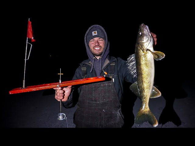 Slamming BIG Early Ice Walleyes! WI 2020 (Ultra Clear Ice)