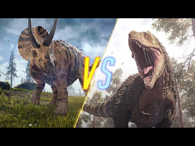 Triceratops VS T-Rex