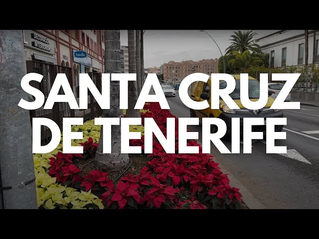 Santa Cruz De Tenerife 2025 | Is This the Most Beautiful City in the World?