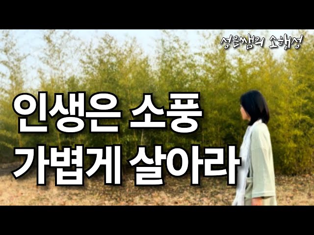 인생은 소풍처럼 가볍게 - 마음의 평온을 찾는 명상의 말씀과 장자의 지혜