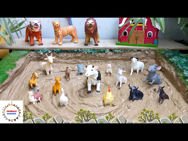 Farmyard Friends Stuck in the Mud | Fun Learning About Pet and Domestic Animals for Kids