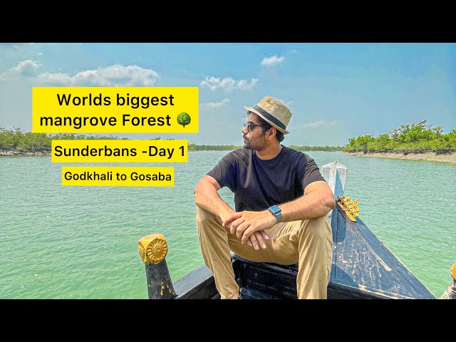 Sunderbans | Worlds biggest mangrove forest | Gadkhali | Gosaba | Kolkata to Sunderbans