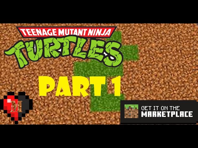 Teenage Minecraft Ninja 🥷 Turtles 🐢