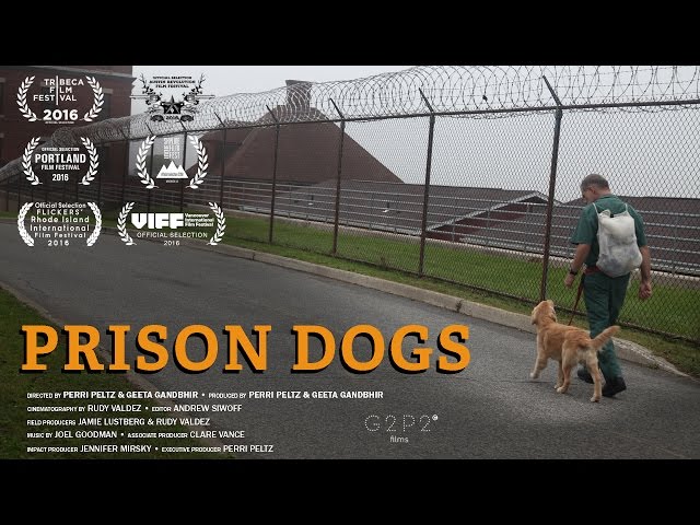 Prison Dogs - Trailer