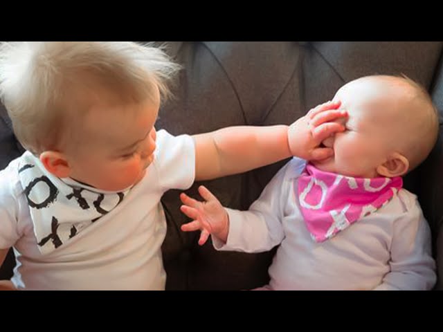 Funny Adorable Baby And Siblings Moments || Cool Peachy🍑