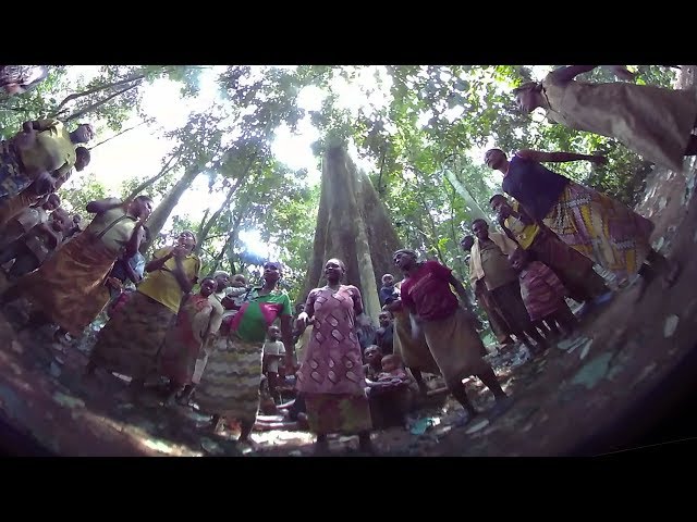 Rainforest music - Baka women sing and dance in the round