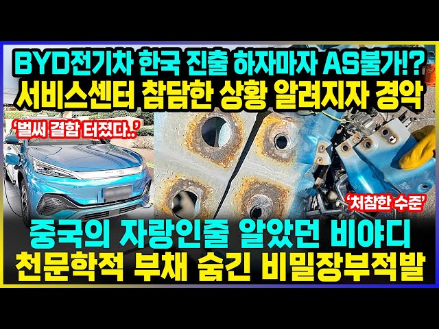 BYD전기차 한국 진출 하자마자 AS불가, 초유의 사태에 난리난 상황