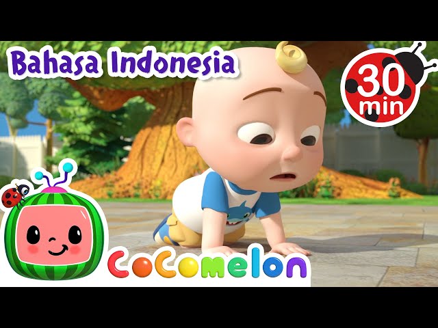 Aduh, Aku Jatuh dan Terluka | CoComelon | Kartun Lagu Anak | Moonbug Kids Indonesia | Nursery Rhymes