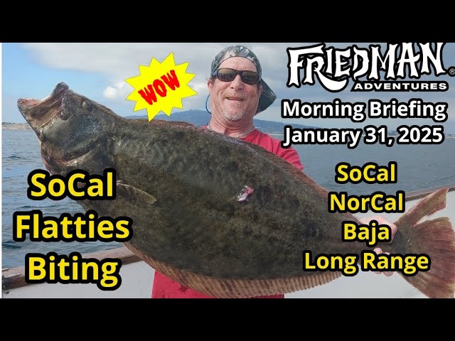 SoCal flatties biting, Baja, Mexico updates, surf fishing great this morning, Hall Show highlights