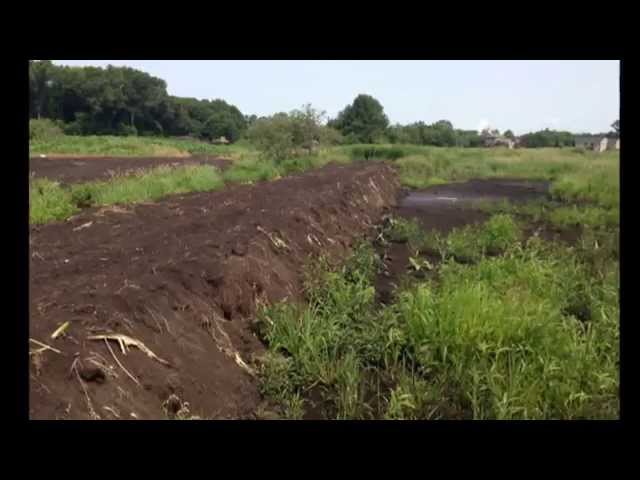 Wetland Regulation in Minnesota