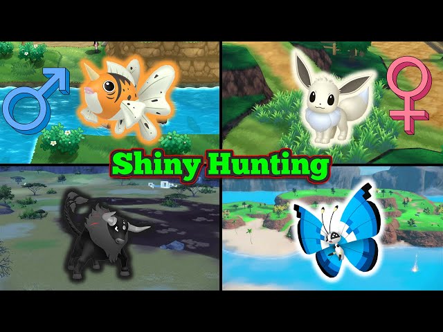 Shiny Hunting Vivillon, Seaking and Eevee!!! SLFD 1095/1264