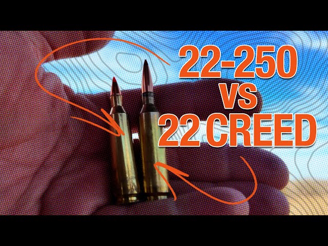 22-250 vs 22 Creedmoor