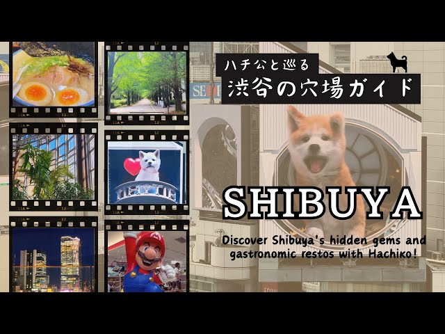 A perfect guide to Shibuya 🐕‍🦺 From must-visit spots to hidden gems and places for Hachiko lovers.