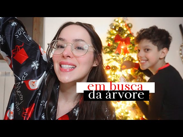 um vídeo aletatório de natal - comprando e montando a árvore