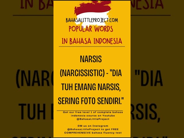 easy bahasa: what is NARSIS in Bahasa