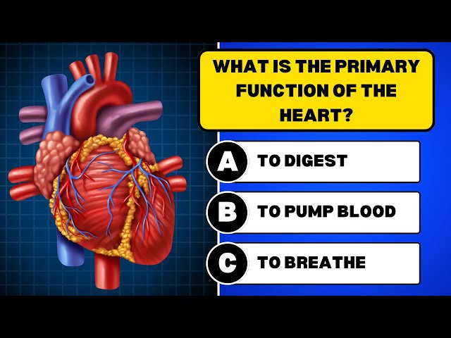 Can You Pass This Human Body Quiz? 🧠 | 50 Fun Questions