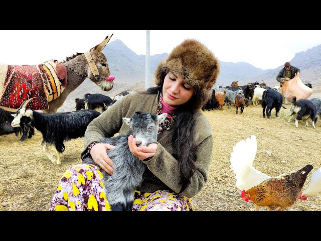 Village Life In Iran: Amazing Bread Baking & Wonderful Donkey Riding