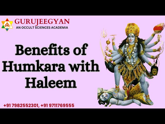 Benefits of Humkara with Haleem / humkara with haleem healing / humkara with haleem benefits