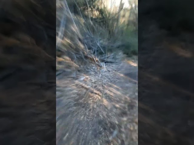 New trail at Denton MTB trail